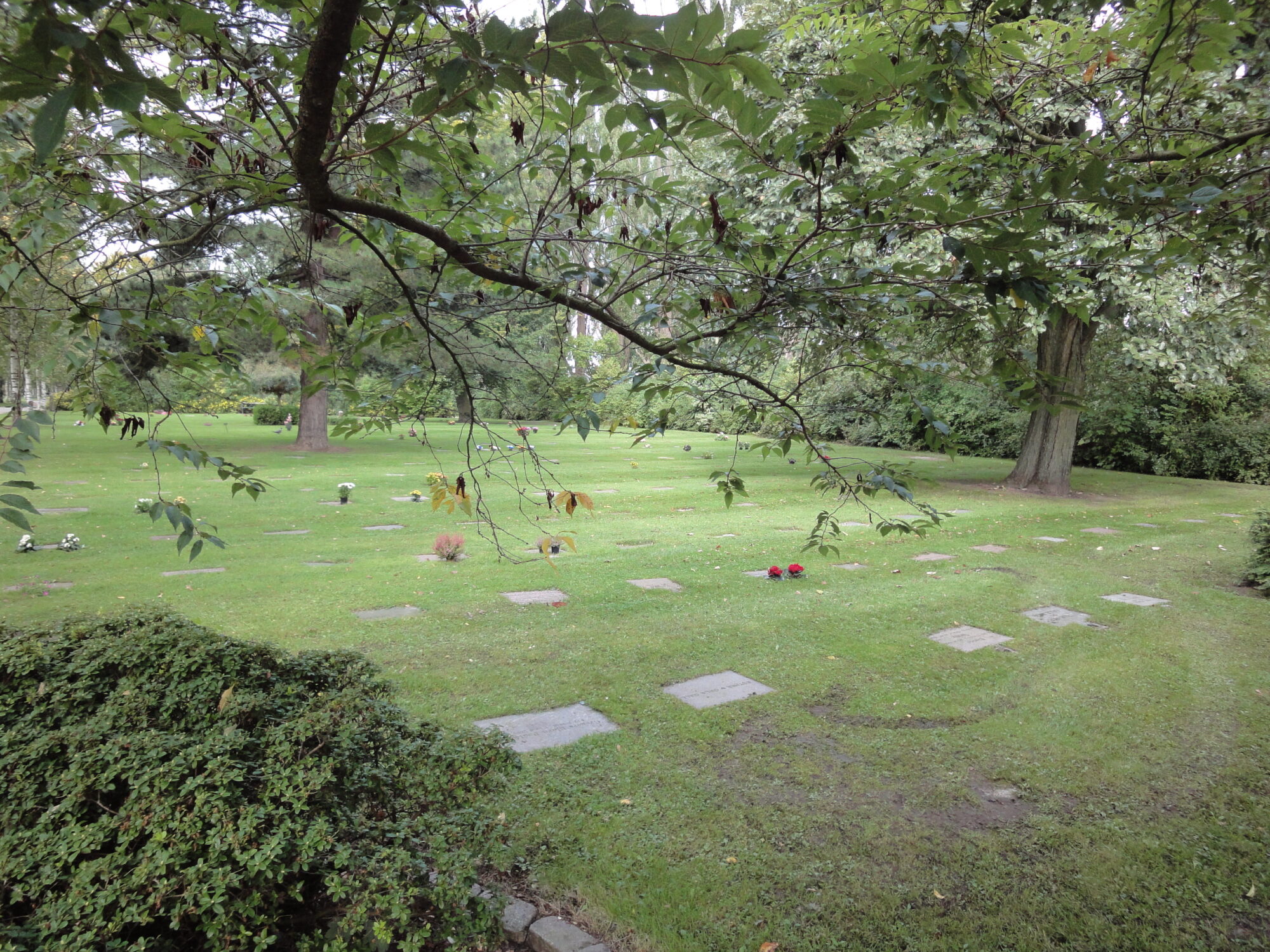 Kirkegård med store løvtrær og flate gravsteiner på gresset.